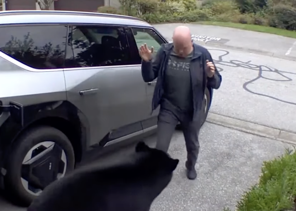 Man Claps Back At Big Black Bear Coming Out Of Garage: “No!”